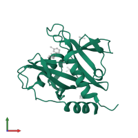 Peroxisomal coenzyme A diphosphatase NUDT7 in PDB entry 5qgz, assembly 1, front view.