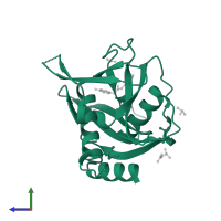 Peroxisomal coenzyme A diphosphatase NUDT7 in PDB entry 5qgz, assembly 1, side view.