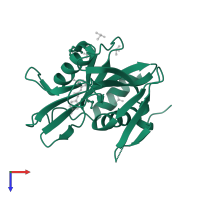 Peroxisomal coenzyme A diphosphatase NUDT7 in PDB entry 5qgz, assembly 1, top view.