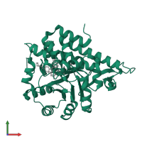 2-Hydroxyacid oxidase 1 in PDB entry 5qib, assembly 1, front view.