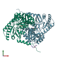 PDB entry 5qr8 coloured by chain, front view.