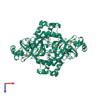 Homo dimeric assembly 1 of PDB entry 5rfw coloured by chemically distinct molecules, top view.