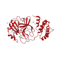 The deposited structure of PDB entry 5rgt contains 1 copy of Pfam domain PF05409 (Coronavirus endopeptidase C30) in 3C-like proteinase nsp5. Showing 1 copy in chain A.