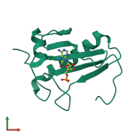 PDB entry 5rhn coloured by chain, front view.