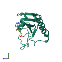PDB entry 5rhn coloured by chain, side view.