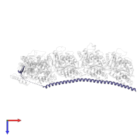 Stathmin-4 in PDB entry 5s5b, assembly 1, top view.