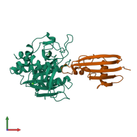 PDB entry 5sic coloured by chain, front view.