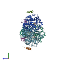 PDB entry 5sup coloured by chain, side view.