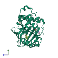 PDB entry 5sux coloured by chain, side view.
