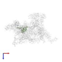 Mediator of RNA polymerase II transcription subunit 6 in PDB entry 5sva, assembly 1, top view.