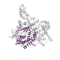 The deposited structure of PDB entry 5swg contains 1 copy of Pfam domain PF00454 (Phosphatidylinositol 3- and 4-kinase) in Phosphatidylinositol 4,5-bisphosphate 3-kinase catalytic subunit alpha isoform. Showing 1 copy in chain A.