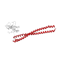 The deposited structure of PDB entry 5swg contains 1 copy of CATH domain 1.10.287.1490 (Helix Hairpins) in Phosphatidylinositol 3-kinase regulatory subunit alpha. Showing 1 copy in chain B.