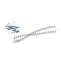 The deposited structure of PDB entry 5swg contains 1 copy of Pfam domain PF00017 (SH2 domain) in Phosphatidylinositol 3-kinase regulatory subunit alpha. Showing 1 copy in chain B.