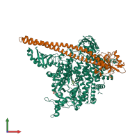 PDB entry 5swo coloured by chain, front view.