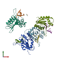 PDB entry 5sww coloured by chain, front view.