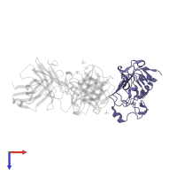 Epidermal growth factor receptor in PDB entry 5sx5, assembly 1, top view.