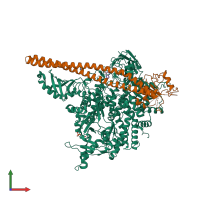 PDB entry 5sx8 coloured by chain, front view.