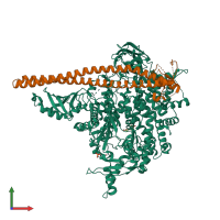 PDB entry 5sxf coloured by chain, front view.