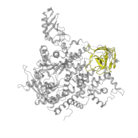 The deposited structure of PDB entry 5sxi contains 1 copy of Pfam domain PF00792 (Phosphoinositide 3-kinase C2) in Phosphatidylinositol 4,5-bisphosphate 3-kinase catalytic subunit alpha isoform. Showing 1 copy in chain A.