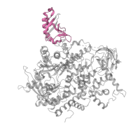 The deposited structure of PDB entry 5sxi contains 1 copy of Pfam domain PF02192 (PI3-kinase family, p85-binding domain) in Phosphatidylinositol 4,5-bisphosphate 3-kinase catalytic subunit alpha isoform. Showing 1 copy in chain A.