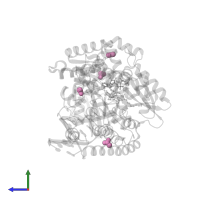 ACETATE ION in PDB entry 5szt, assembly 1, side view.