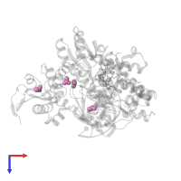 ACETATE ION in PDB entry 5szt, assembly 1, top view.