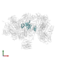 26S proteasome regulatory subunit 10B in PDB entry 5t0g, assembly 1, front view.