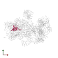 Proteasome subunit alpha type-1 in PDB entry 5t0i, assembly 1, front view.