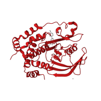 The deposited structure of PDB entry 5t19 contains 1 copy of CATH domain 3.90.190.10 (Protein-Tyrosine Phosphatase; Chain A) in Tyrosine-protein phosphatase non-receptor type 1. Showing 1 copy in chain A.