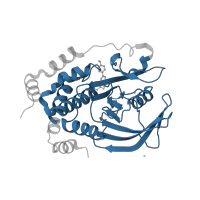 The deposited structure of PDB entry 5t19 contains 1 copy of Pfam domain PF00102 (Protein-tyrosine phosphatase) in Tyrosine-protein phosphatase non-receptor type 1. Showing 1 copy in chain A.