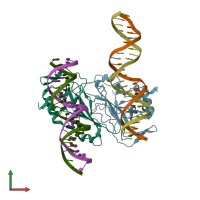 PDB entry 5t1j coloured by chain, front view.