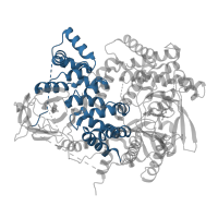 The deposited structure of PDB entry 5t23 contains 1 copy of CATH domain 1.25.40.70 (Serine Threonine Protein Phosphatase 5, Tetratricopeptide repeat) in Phosphatidylinositol 4,5-bisphosphate 3-kinase catalytic subunit gamma isoform. Showing 1 copy in chain A.