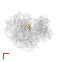 Large ribosomal subunit protein uL5 in PDB entry 5t2c, assembly 1, top view.