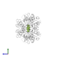 (4R)-4-amino-6-{3-hydroxy-2-methyl-5-[(phosphonooxy)methyl]pyridin-4-yl}hexanoic acid in PDB entry 5t4l, assembly 1, side view.