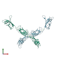 PDB entry 5t4n coloured by chain, front view.