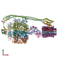 PDB entry 5t4p coloured by chain, front view.