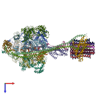 PDB entry 5t4p coloured by chain, top view.