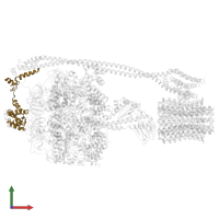 ATP synthase subunit delta in PDB entry 5t4p, assembly 1, front view.