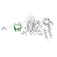 The deposited structure of PDB entry 5t4q contains 3 copies of Pfam domain PF02874 (ATP synthase alpha/beta family, beta-barrel domain) in ATP synthase subunit alpha. Showing 1 copy in chain A.