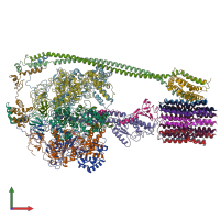 PDB entry 5t4q coloured by chain, front view.