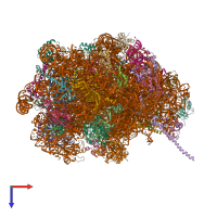 PDB entry 5t62 coloured by chain, top view.