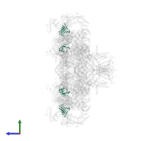 Peptidyl-prolyl cis-trans isomerase FKBP1B in PDB entry 5t9r, assembly 1, side view.