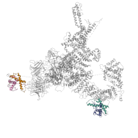 The deposited structure of PDB entry 5tap contains 16 copies of Pfam domain PF02026 (RyR domain) in Ryanodine receptor 1. Showing 4 copies in chain E [auth B].
