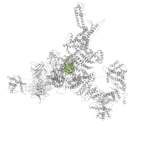 The deposited structure of PDB entry 5tap contains 4 copies of Pfam domain PF02815 (MIR domain) in Ryanodine receptor 1. Showing 1 copy in chain E [auth B].