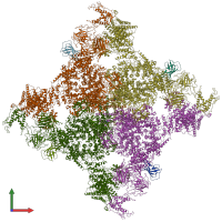 PDB entry 5tap coloured by chain, front view.