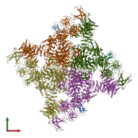 PDB entry 5tau coloured by chain, front view.