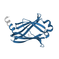 The deposited structure of PDB entry 5tb5 contains 2 copies of Pfam domain PF05351 (GMP-PDE, delta subunit) in Retinal rod rhodopsin-sensitive cGMP 3',5'-cyclic phosphodiesterase subunit delta. Showing 1 copy in chain B.