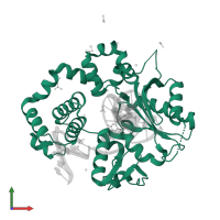 DNA polymerase beta in PDB entry 5tb8, assembly 1, front view.