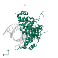 DNA polymerase beta in PDB entry 5tb8, assembly 1, side view.