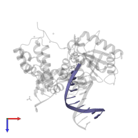 10- MER PRIMER in PDB entry 5tb9, assembly 1, top view.